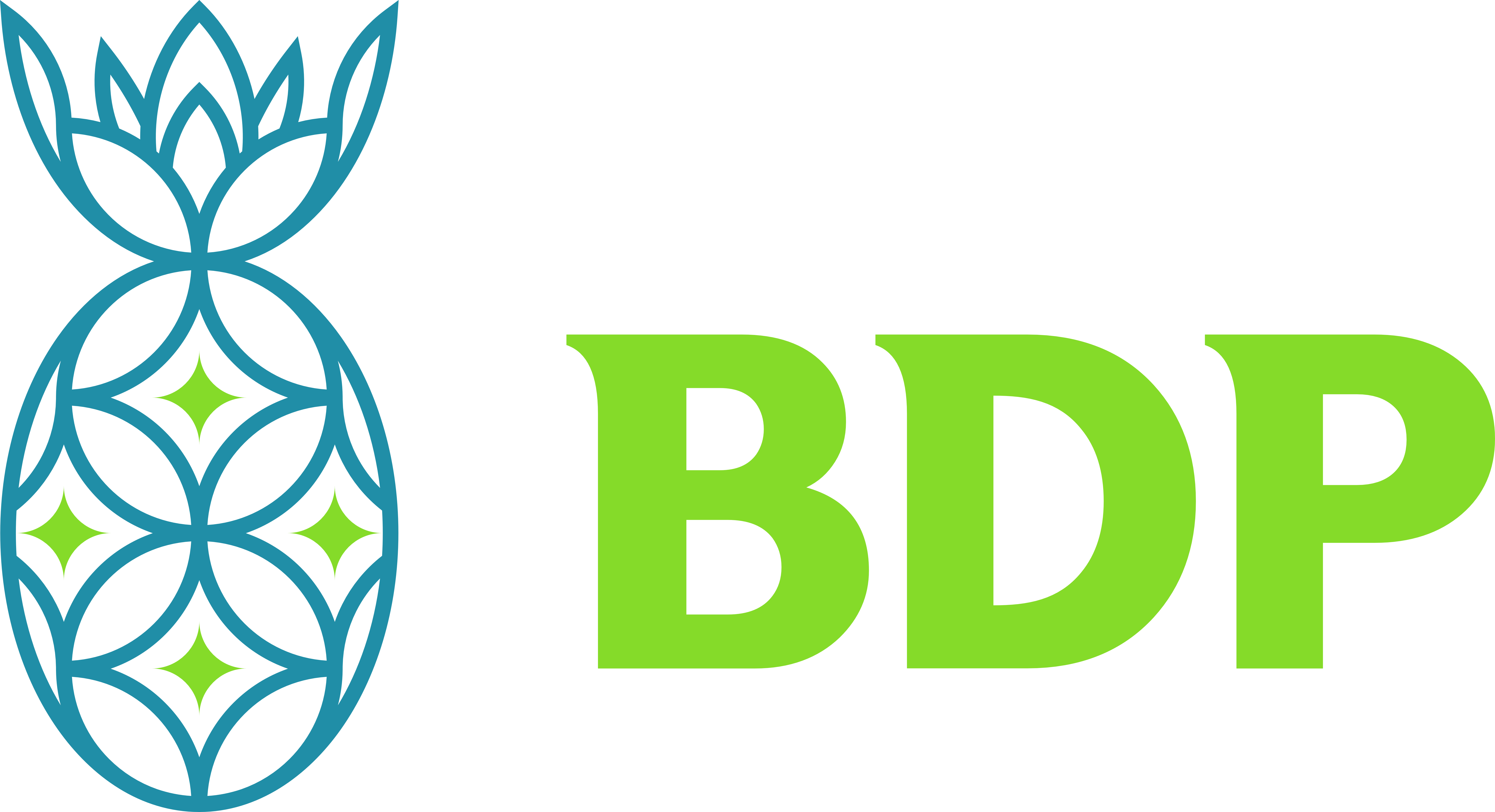 BDP Logo